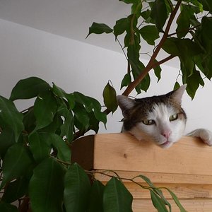 Bilder 31.08.12 064 zugeschnitten