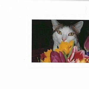 10155941 541476375970003 3600975591730306135 n