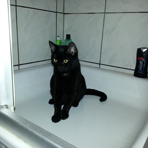 Wenn die Dosis das so toll finden, muss ja was dran sein.
Wasser marsch!!