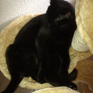 <3 Beste Position zum Dösen XD