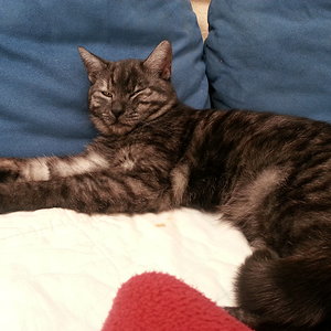 Am ersten Tag. Schon voller Vertrauen.