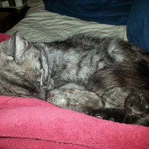 Noch mehr Schlafknäul <3