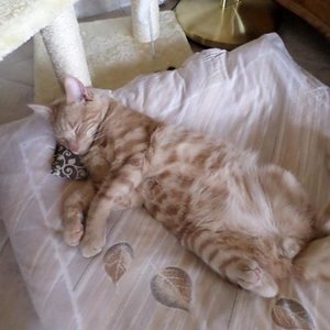 heute geht es mir gut