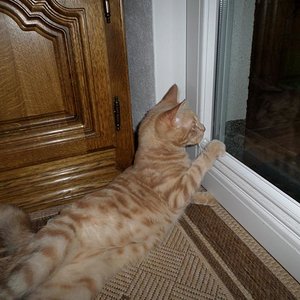 auf dem Balkon gibt es immer was zu entdecken