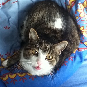 Charly (gestorben am 08.09.2012)