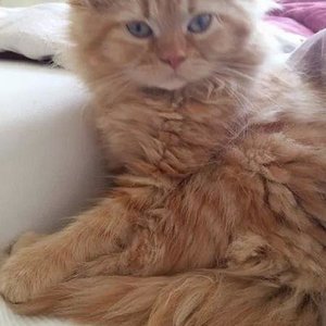 received m mid 1405602697231 b4fdb54977b8f5ab50 0