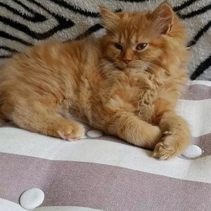 received m mid 1405601750889 d09ac16eef77b7c335 0