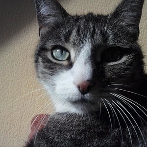 Faulenzen in der Sonne ;-)