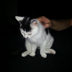 Mal was ganz neues, sitzen :-))