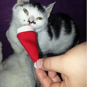 Da glaubst wer nicht an den Nikolaus :-D