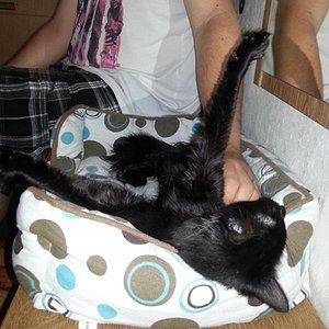 Kein Kommentar.. *lach*