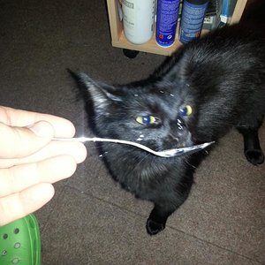 Also essen kannste auch nicht wa? :-P