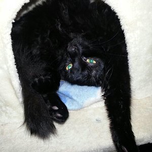 Was soll man dazu noch sagen... :-D