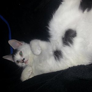 Was aus dir geworden ist :-)