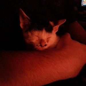 deswegen mussten wir dich einfach haben :-))
Wir lieben dich :-*