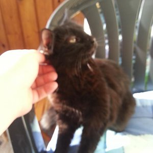 Wir lieben dich kleine Maus