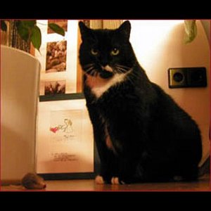 Für immer im Herzen