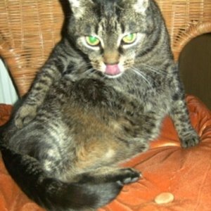 beim täglichen putzen