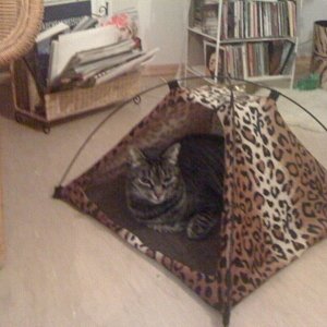 alles klar bei Dir ????