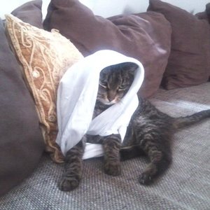 wo ist den hier der eingang