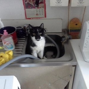 20141020 094020 Flocke beim Geschirr spülen!?