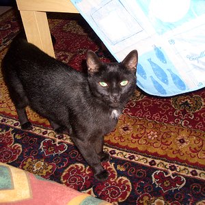 Tag 1 (Bild für die Fundmeldung)