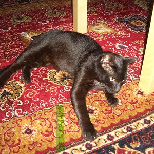 Tag 1 (Bild für die Fundmeldung)