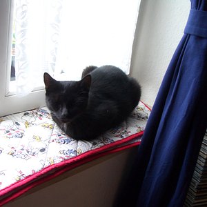 Woche 1: fühlt sich schon Zuhause