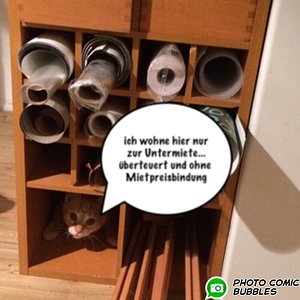 Gedanken zur Negativentwicklung des Immobilienmarktes