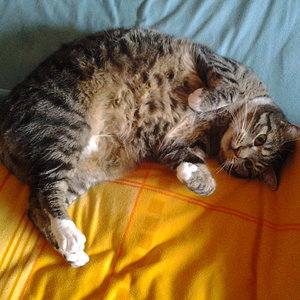 So richtig nett ist's nur im Bett.