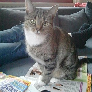 meine schöne "Bella"