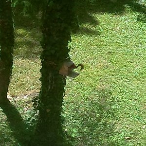 Ob was im Futterhäuschen ist?