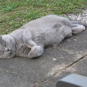 Mia in Lieblingsposition