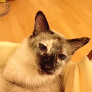 Mein unvergessenes Bezilein