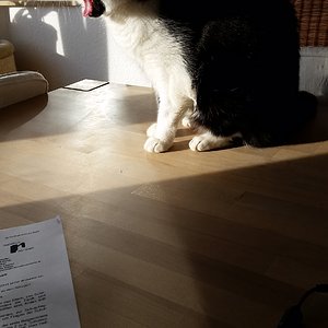 " Gähhhhnnnnnnnnn ist das öde hier "