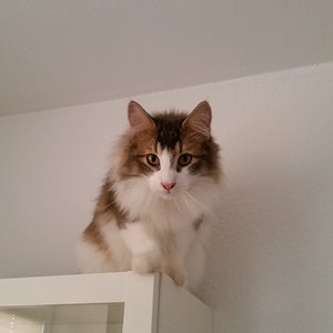 " Ich hab euch im Blick, Freunde der Nacht "