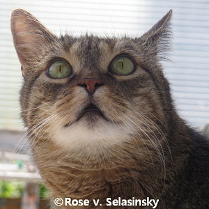 Was gibt es da oben zu sehen?