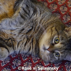 Fühlt sich sehr wohl