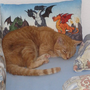 Titus am 27.02.2015. Am 28.02.2015 ist er in meinem Bett eingeschlafen und nicht wieder aufgewacht. Ich vermisse ihn so sehr!