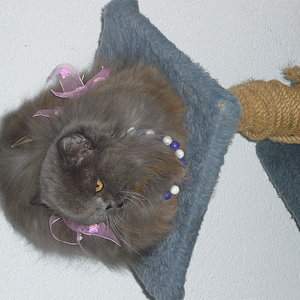 Meine Wusi, ich muss Dich langsam gehen lassen...