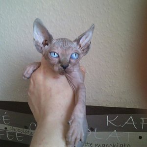 10628277 1476952099252114 2164273232765118660 n