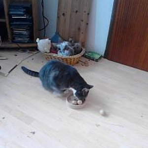 Trixi mit eine Wichteln Geschenke