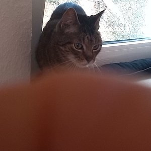 Da ist doch was interessantes,denkt sich Benny.