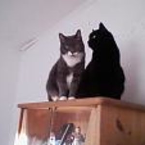 Gina und Trixi wie die bieden Sternenkinder noch fit waren