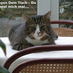 Man muss auch zeigen, wer hier der Boss ist.