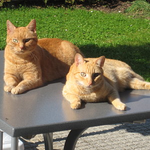 Ein Bild aus guten Zeiten