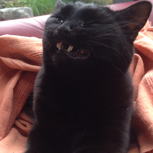 Mina schneidet Grimassen