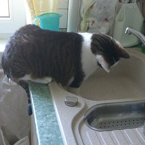 billy will wasser panschen