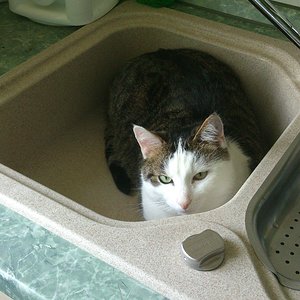 dosi lässt mich nicht wasser panschen