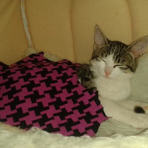 die kleine liebt schlafen